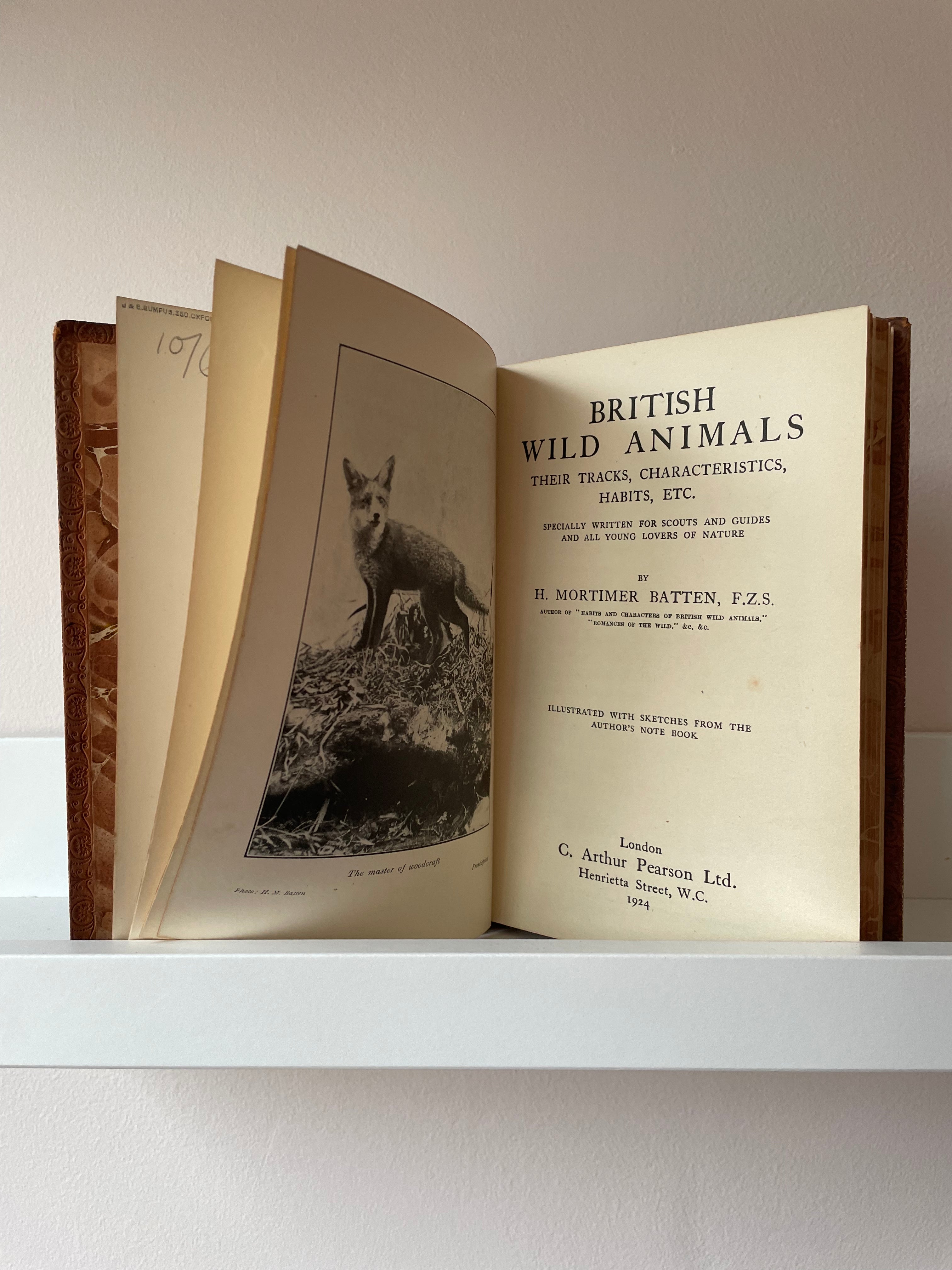 British Wild Animals | First Edition 1924