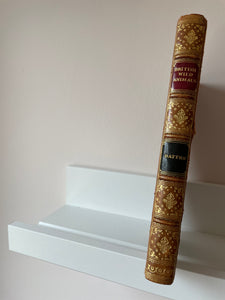 British Wild Animals | First Edition 1924